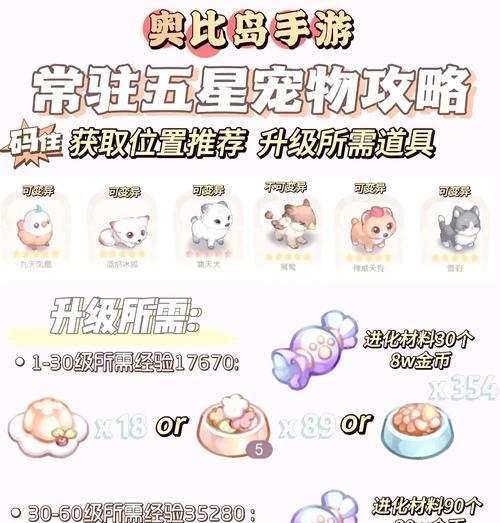 精品手游宠物攻略（掌握宠物培养技巧，打造不可战胜的团队阵容）