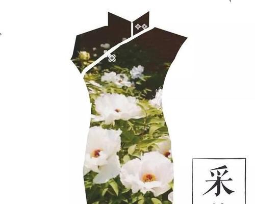 揭秘《细细倾国两相欢》攻略，征服千万玩家的心（细心破解奥秘，玩转细细倾国）