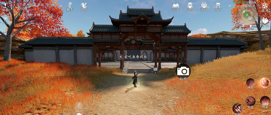 神刀琅纹的搭配选择（天涯明月刀手游中神刀如何搭配琅纹，打造强大战斗力）