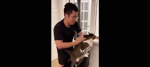 猫之城小音橘色纯真武装攻略详解（掌握攻略，轻松获得纯真武装）